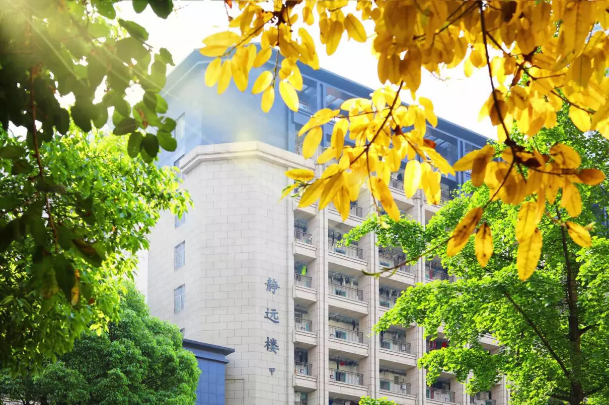重庆市朝阳中学排名(3)