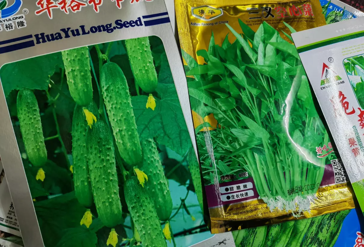 九江市浔阳区天气一二月份适合种什么蔬菜?蔬菜(1)
