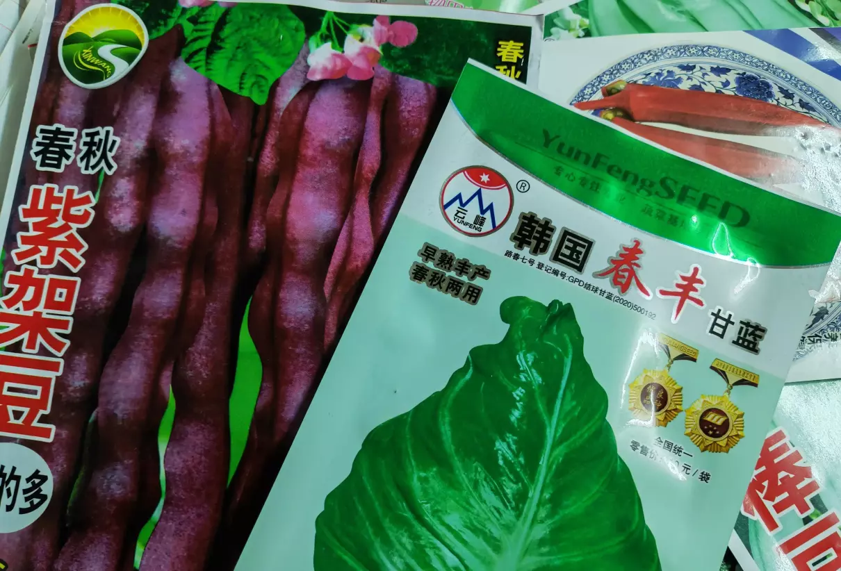 九江市浔阳区天气一二月份适合种什么蔬菜?蔬菜(5)