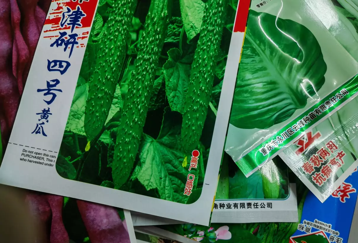 九江市浔阳区天气一二月份适合种什么蔬菜?蔬菜(6)