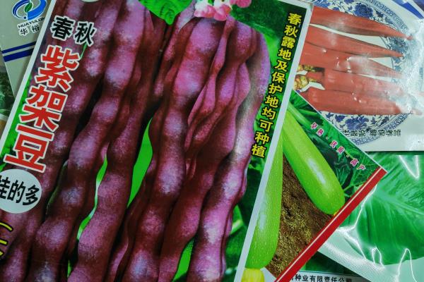 九江市浔阳区天气一二月份适合种什么蔬菜?蔬菜.