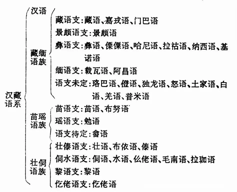 世界三大语系汉语属于哪一个(10)
