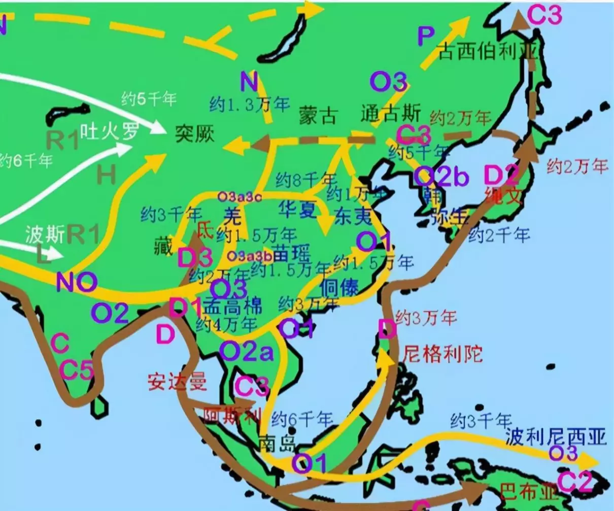 世界三大语系汉语属于哪一个(5)