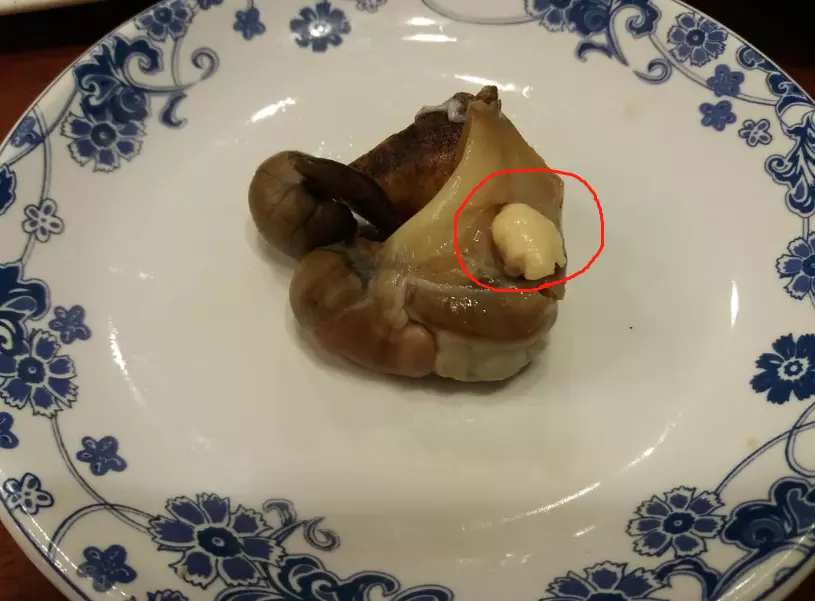 海螺的吃法哪个部位不能吃(6)