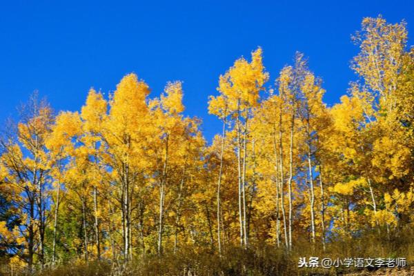 掠词语的意思是什么.