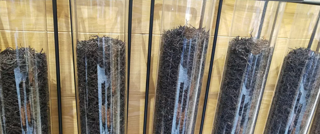 q一族奶茶用什么奶粉(9)