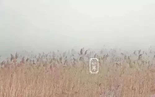 窦园醉中前后五绝句描写的是什么季节(1)