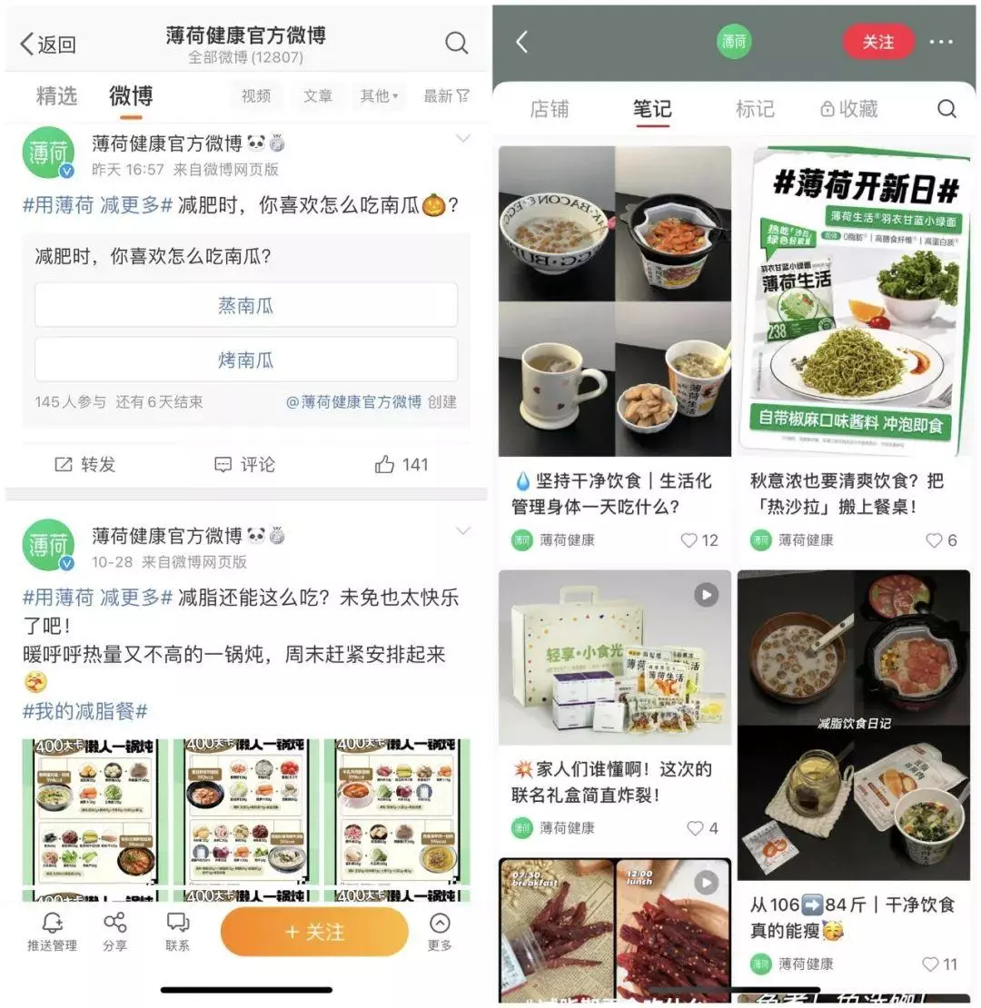 薄荷的减肥产品怎么样(5)