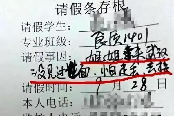请假的理由不可拒绝的大学生.