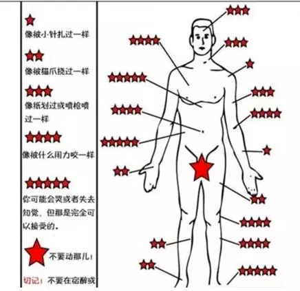 BB上面可以纹个什么纹身(12)