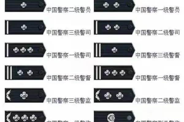省厅长是什么级别干部.