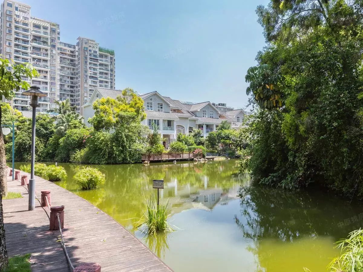 深圳水榭花都住什么人(3)