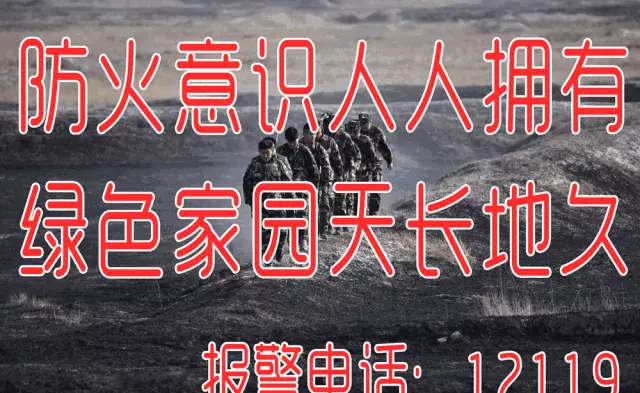 生态环境部辐射环境监测技术中心处室主任什么级别(2)