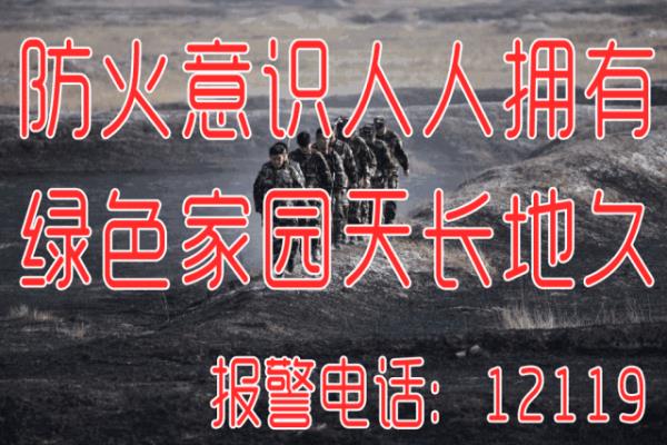 生态环境部辐射环境监测技术中心处室主任什么级别.