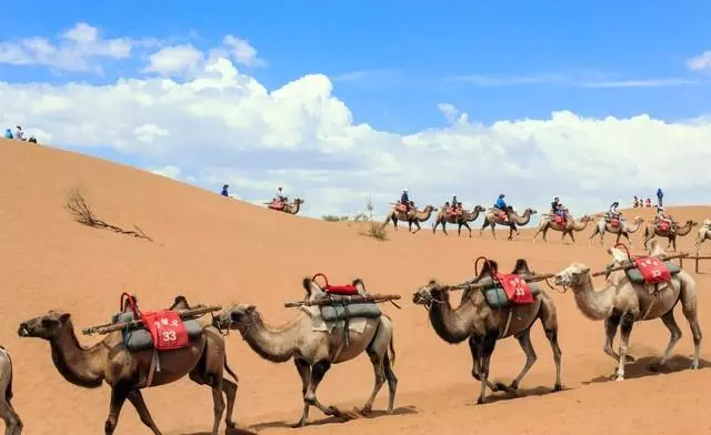 中国最值得去的沙漠旅游景点(3)