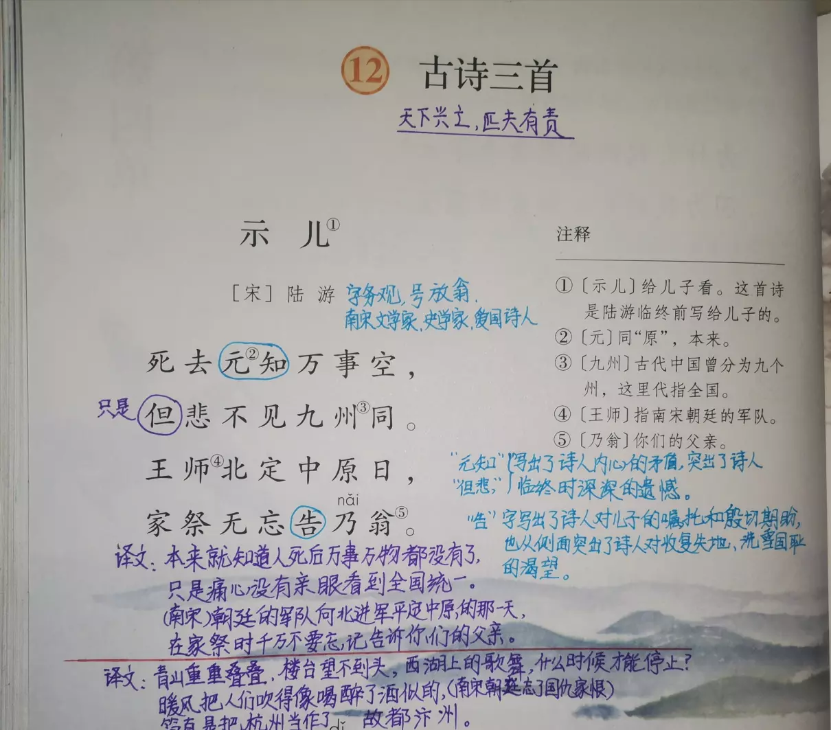 示儿宋陆游的诗意是什么(1)
