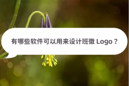 设计班徽用什么软件(1)