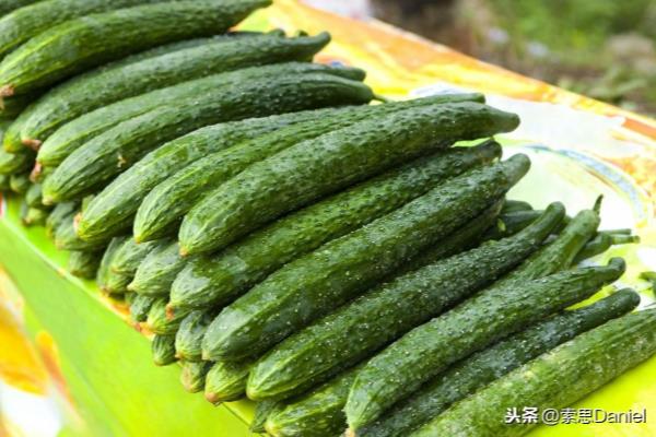 黄瓜的英语怎么读 单词怎么写.