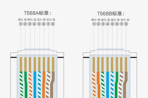 八根网线水晶头接法.