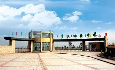 重庆田家炳中学属于什么档次的学校(2)