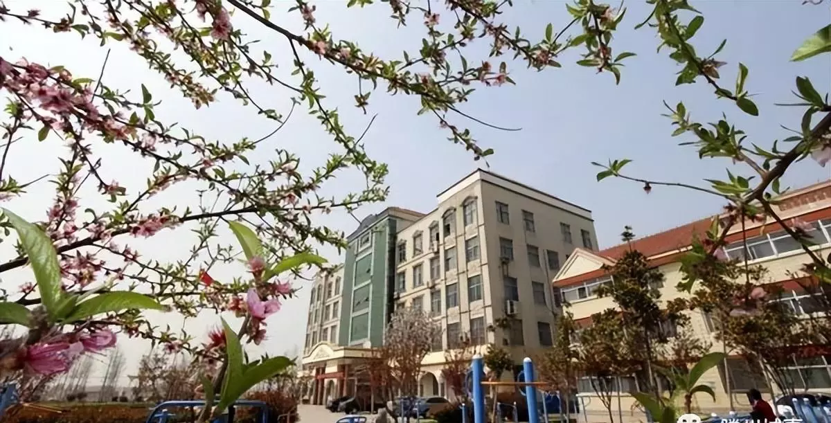 滕州市第三中学升学率怎么样(2)