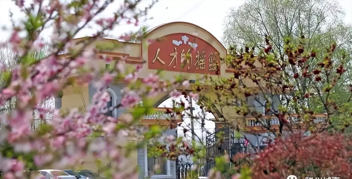 滕州市第三中学升学率怎么样(3)