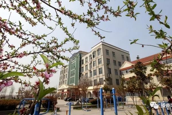 滕州市第三中学升学率怎么样.