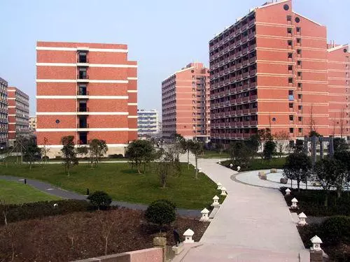 杭州的大学有哪些985,211(2)