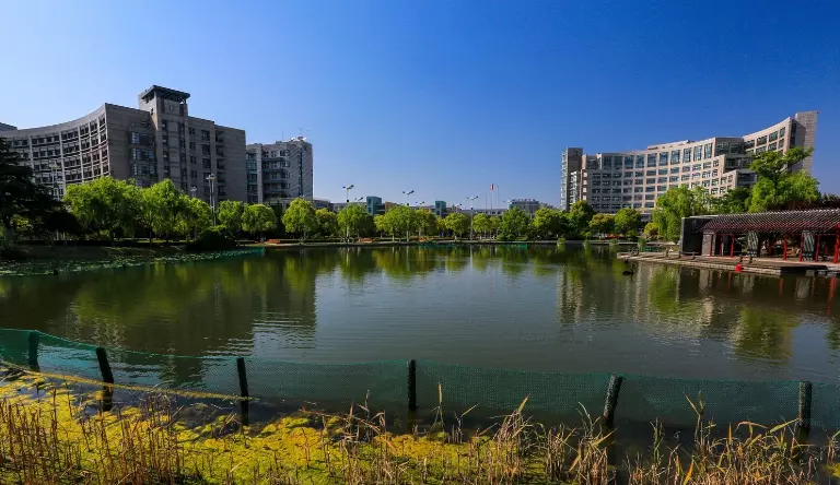 杭州的大学有哪些985,211(6)