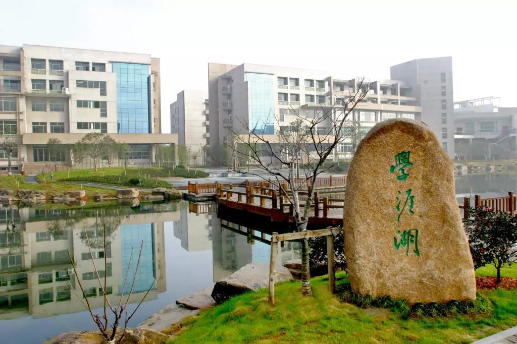 杭州的大学有哪些985,211(9)