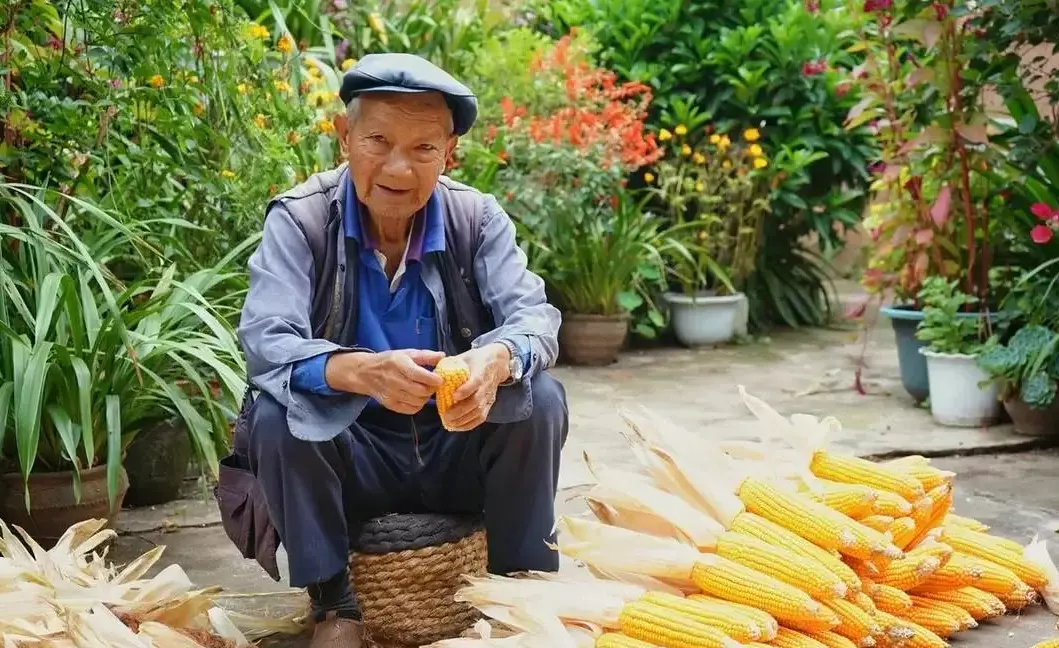 中国农民数量排名(4)