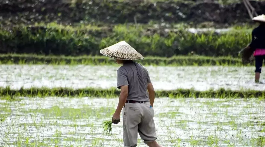 中国农民数量排名(6)