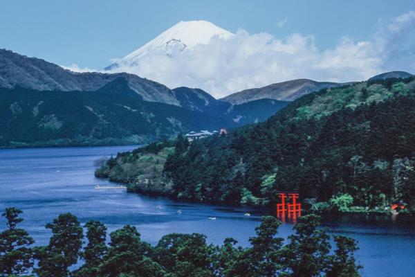 日本大学院和学部有什么区别.