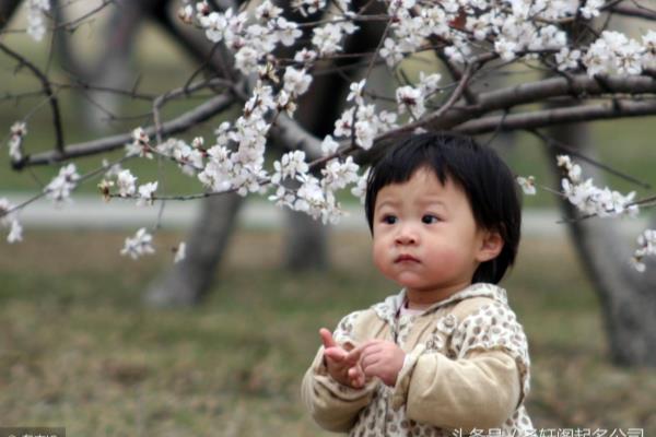 姓白的女孩子叫什么好听.