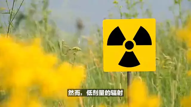 有辐射的东西能过海关吗(2)