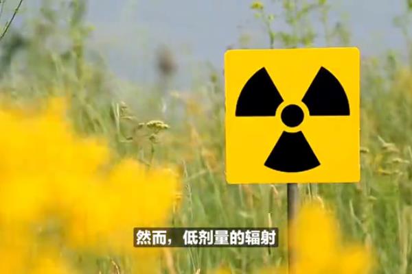 有辐射的东西能过海关吗.