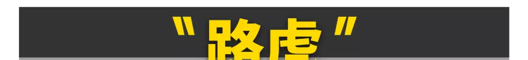 30万左右买什么车性价比最高排名(37)