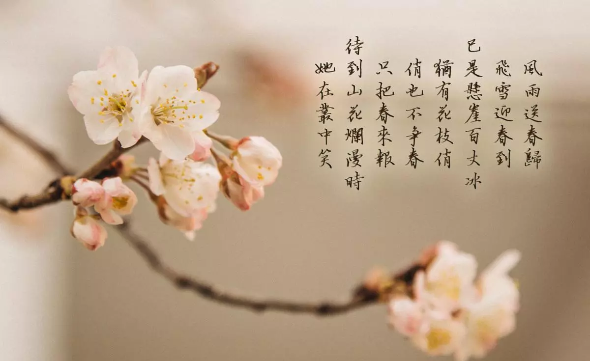 苏轼的名诗有哪些三年级的(1)