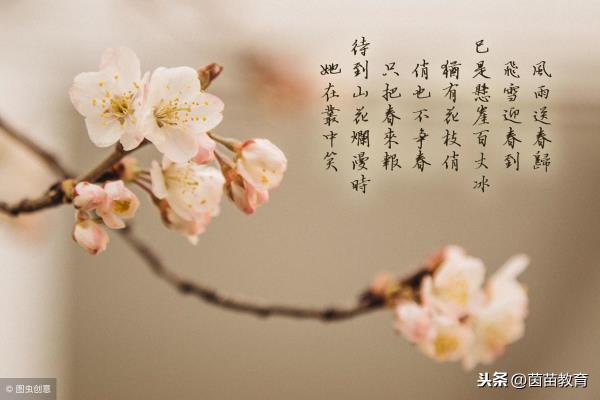 苏轼的名诗有哪些三年级的.