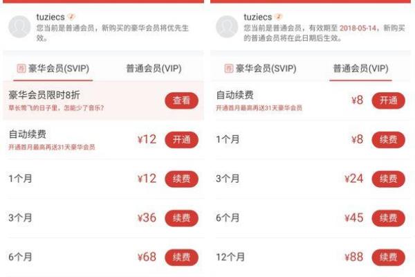vip的意思是什么中文翻译.