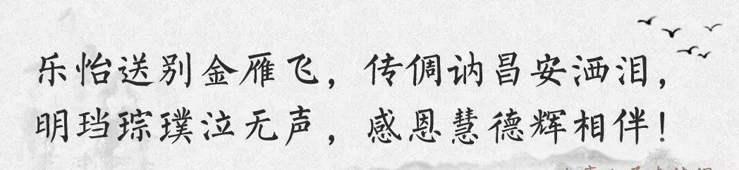 查传倜为何偷光盘(6)