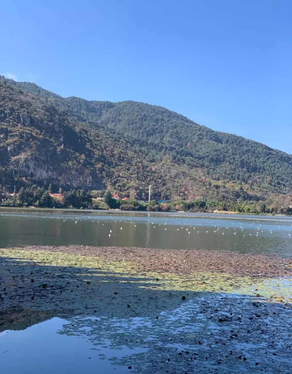 海埂公园跟滇池是一个地方吗(13)