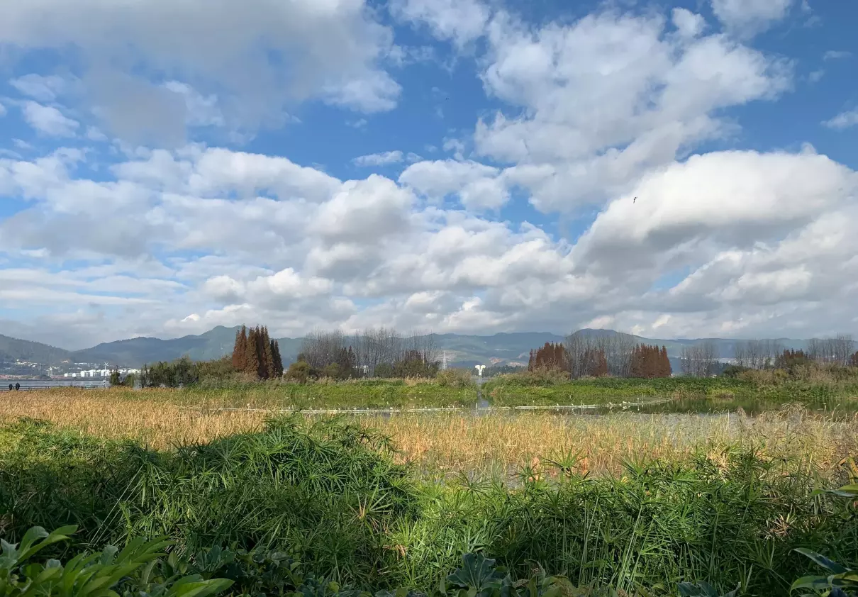 海埂公园跟滇池是一个地方吗(15)