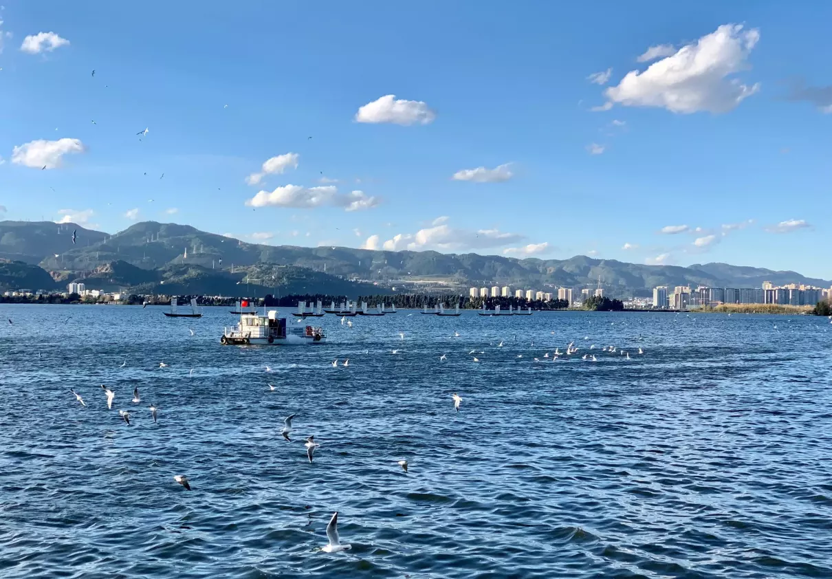 海埂公园跟滇池是一个地方吗(5)