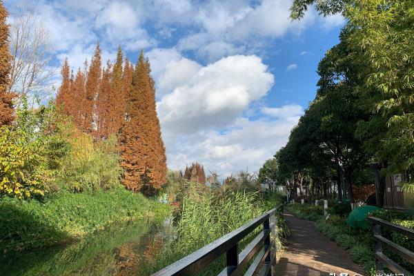 海埂公园跟滇池是一个地方吗.