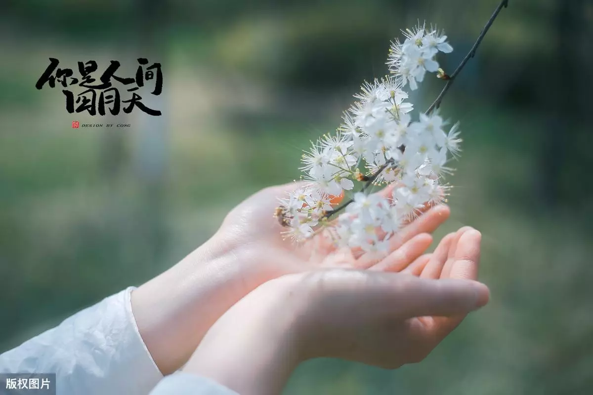 徐志摩三美主张是指什么(4)