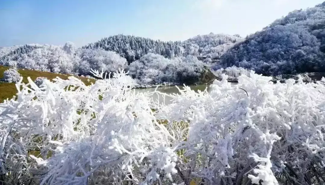 山东沿海近期天气情况怎么样(7)