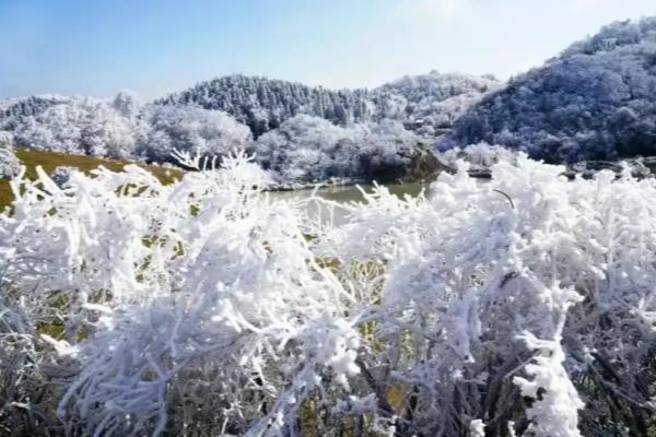 山东沿海近期天气情况怎么样.