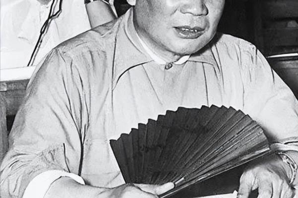 计划生育是谁提出来的?哪年执行的.