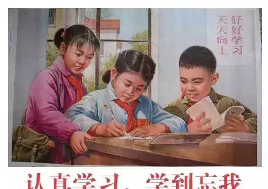 p站是什么网站,怎么进?(20)